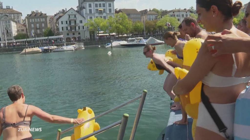 Limmatschwimmen begeistert die Hitzigen