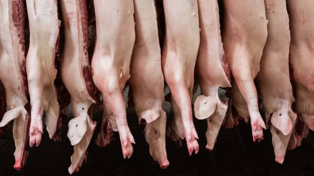 China droht mit Strafzöllen gegen EU-Schweinefleisch