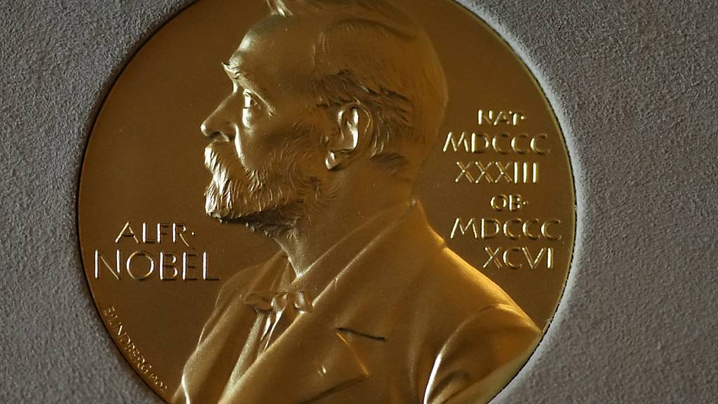 Physik-Nobelpreis geht an KI-Grundlagenforscher aus Nordamerika