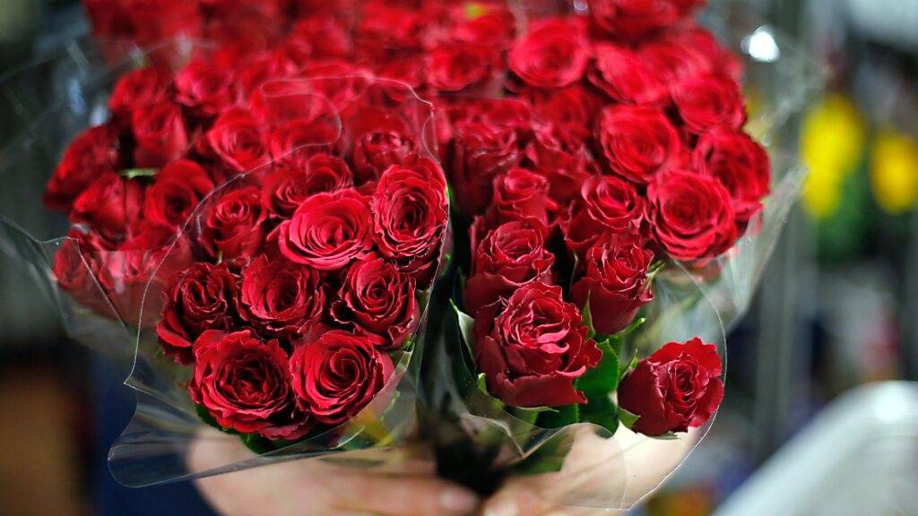 Rosen zum Valentinstag - in Grossbritannien fehlen wegen Lieferproblemen nach dem Brexit Blumen, Wein und andere traditionelle Geschenke