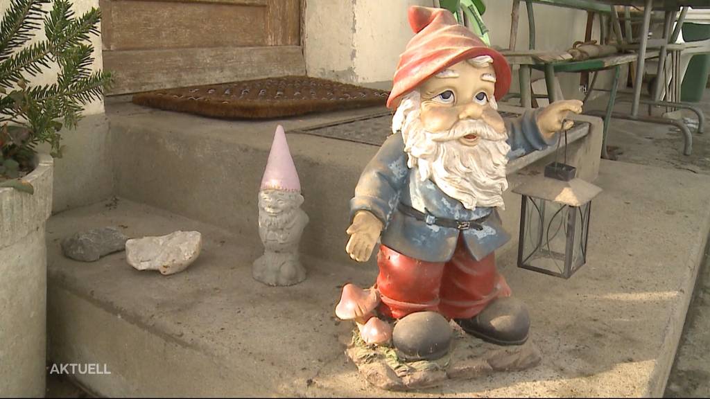 Das sind die kuriosesten Diebstähle im Mittelland der letzten Jahre