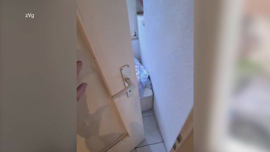 Happige Vorwürfe: Rheintaler Firma soll ausländische Arbeiter abzocken