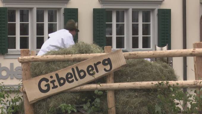 Die schönsten Bilder der Älperchilbi Stans
