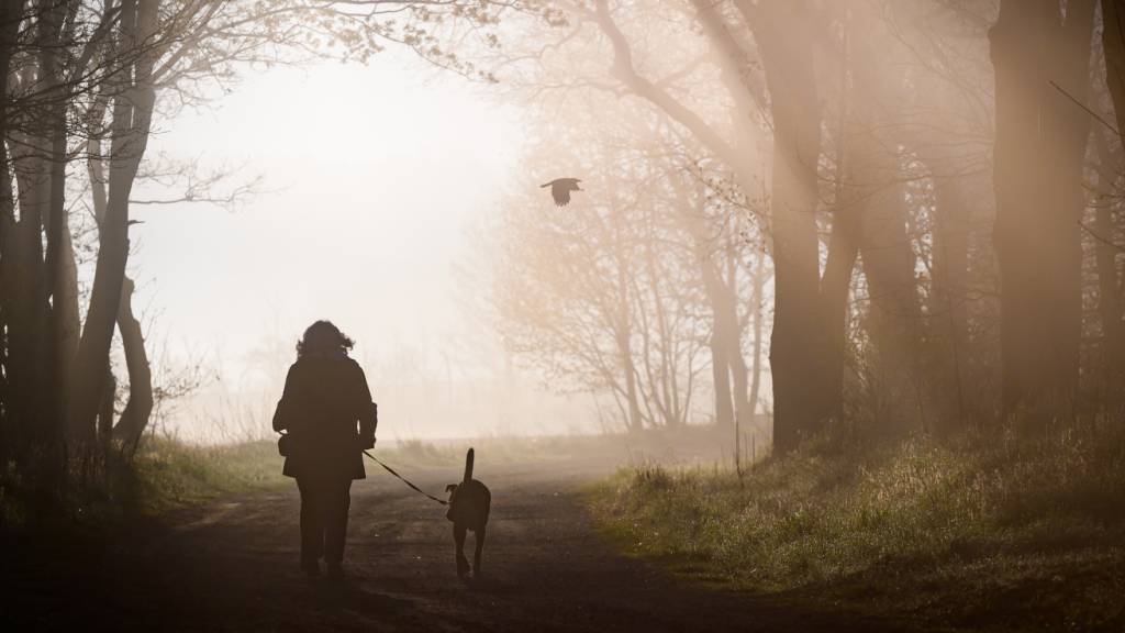 ARCHIV - Eine Spaziergängerin mit Hund. Foto: Patrick Pleul/dpa/Archivbild