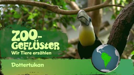 Ich bin ein bunter Vogel, und das ist gut so!