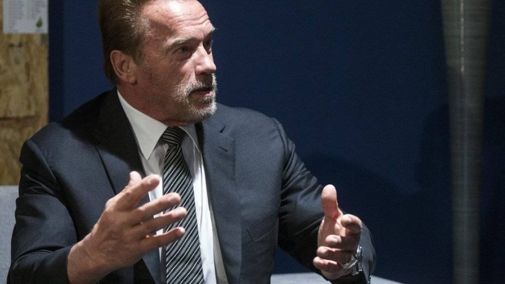 Arnold Schwarzenegger wirbt in Paris für eine fortschrittliche Umweltpolitik (Archiv)