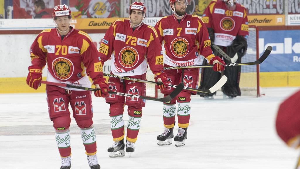 Alles bereit für die Tigers