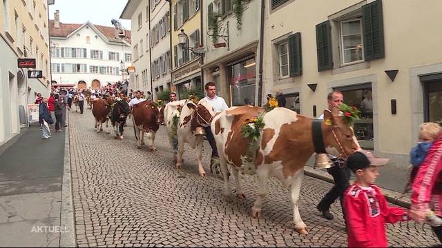 Alpabzug ohne Alpen