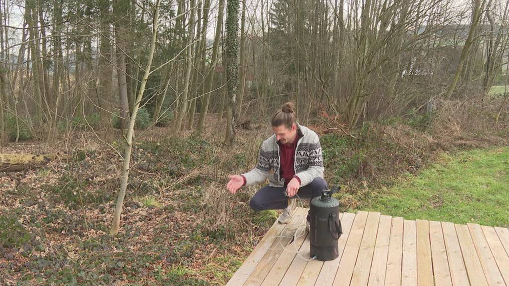 Leben im Zelt: Philip Fischer wohnt seit vier Monaten in Rudolfstetten am Waldrand