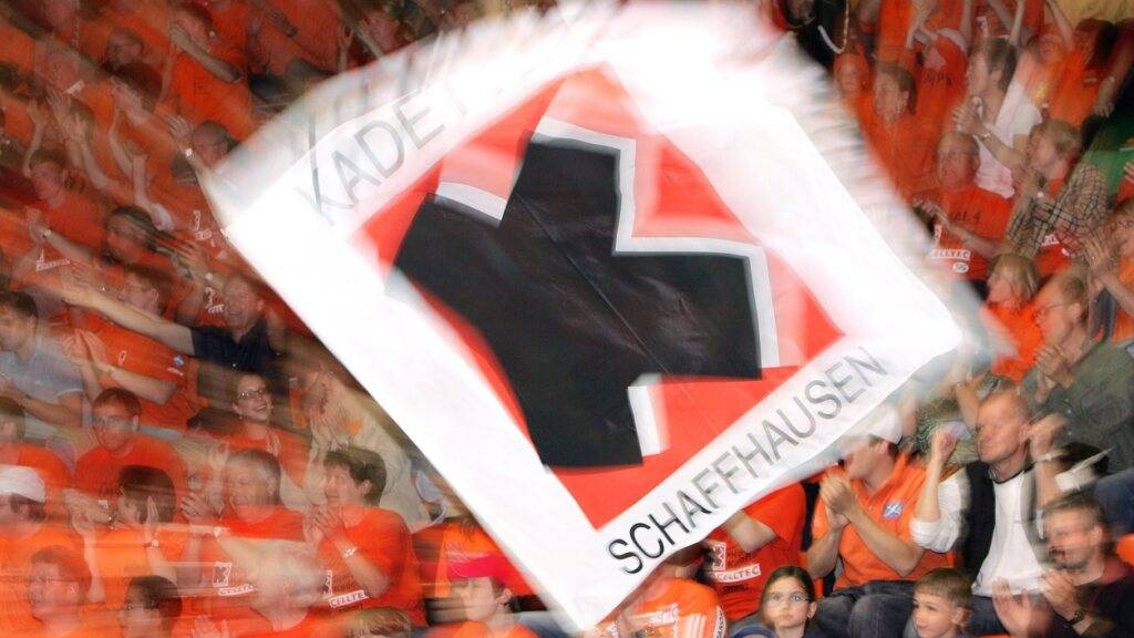 Dänischer Spielmacher Tilsted zu den Kadetten