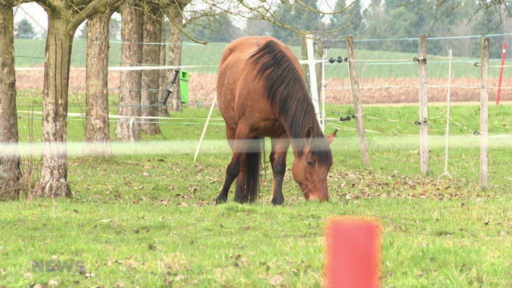 Klar abgelehnt: Kanton Solothurn sagt Nein zur Begrenzung von Staatsangestellten