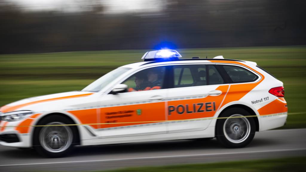 Die St. Galler Kantonspolizei musste zu einem Arbeitsunfall in Diepoldsau ausrücken. (Archivbild)
