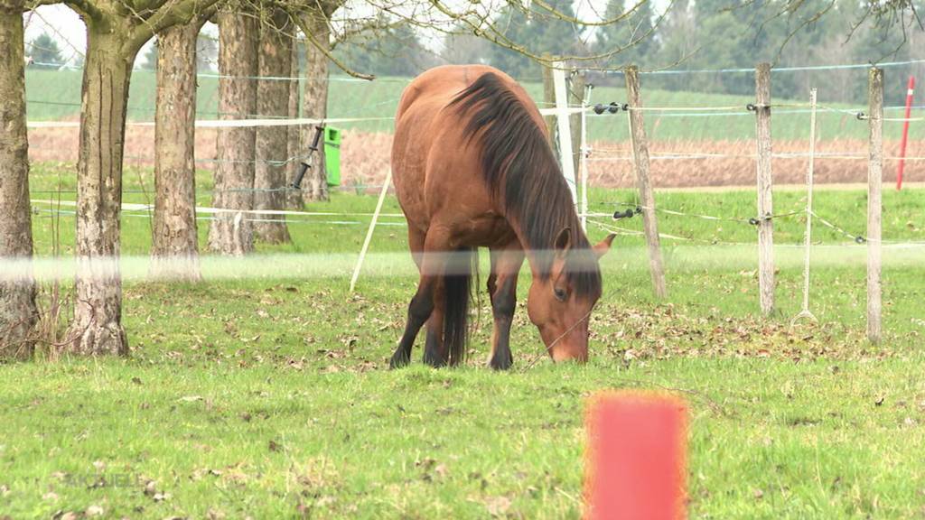 Klar abgelehnt: Kanton Solothurn sagt Nein zur Begrenzung von Staatsangestellten