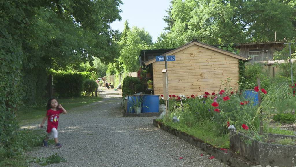 Schrebergarten: Der grosse Traum geht für zwei Familien in Erfüllung