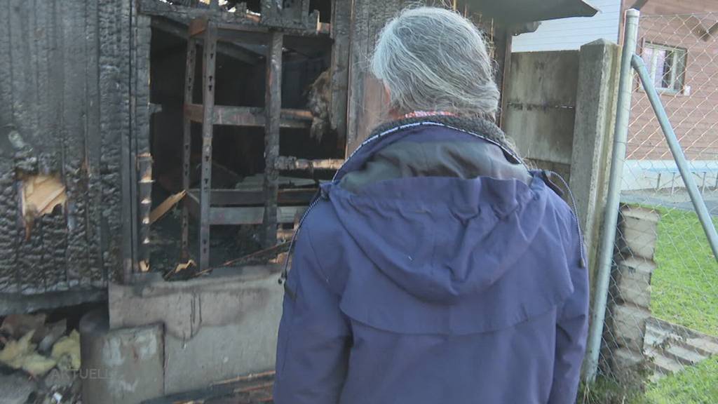 Niedergebrannt: Schweizerischer Doggenclub in Derendingen braucht neues Zuhause