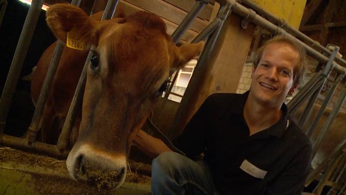 Mehr als Melken und Misten: ”Vo Puur zu Puur” im Bezirk Uster