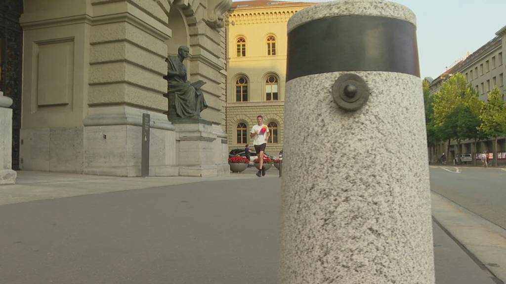 Wettrennen der Parlamentarier