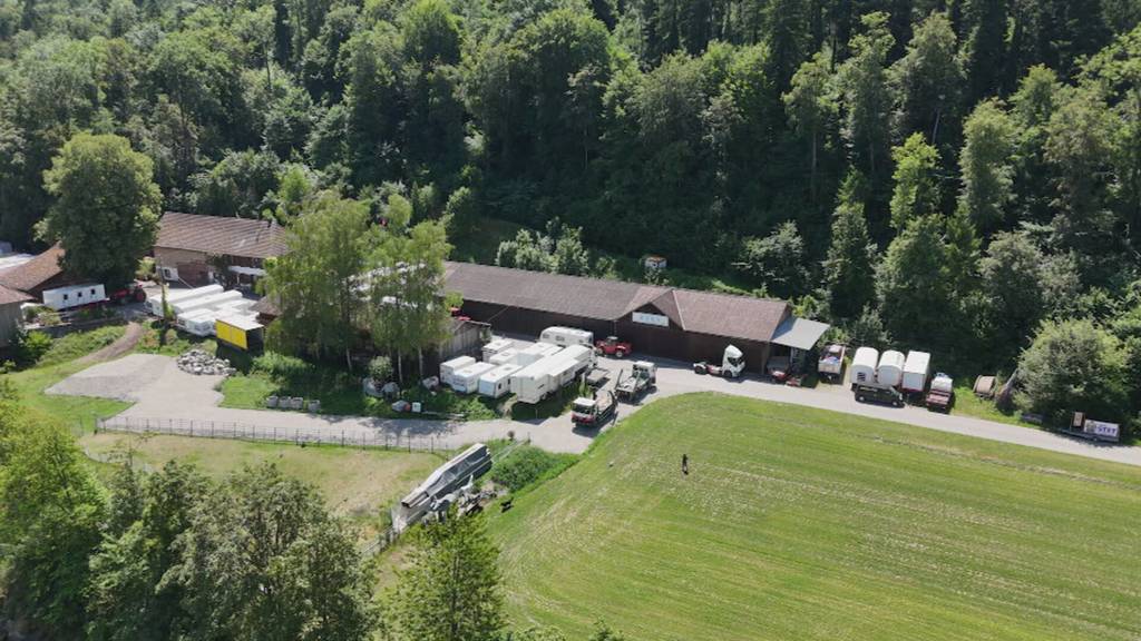Konkurs-Schock bei Zirkus Stey: Tierpfleger spricht über plötzliches Aus