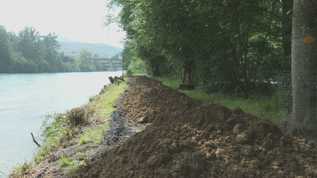 Biber untergräbt Uferweg in Emmen