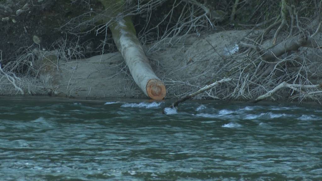 Tragischer Bootsunfall auf der Reuss