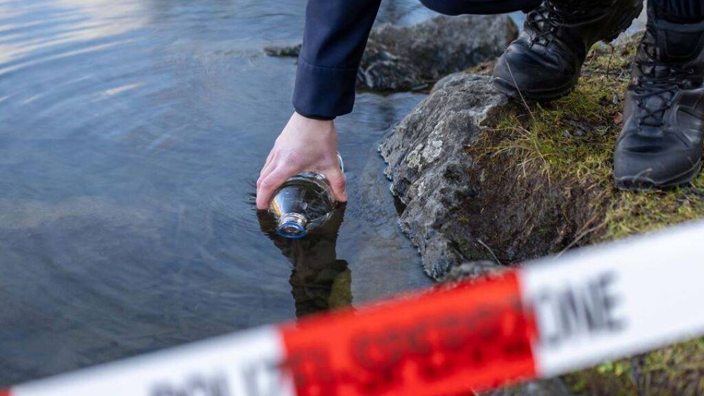 20 tote Fische in Bach bei Lichtensteig SG gefunden