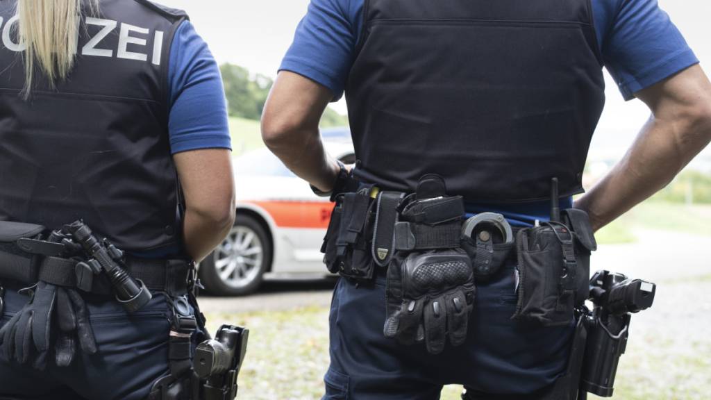 Bei dem Grosseinsatz am Mittwoch in Volketswil fand die Polizei rund 20 Schusswaffen. (Archivbild)