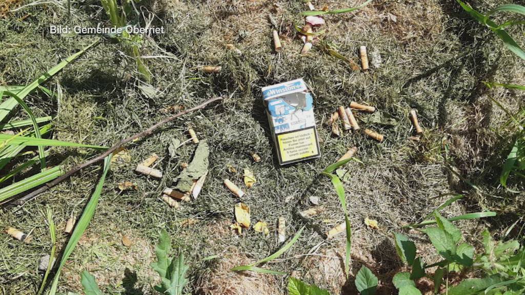 Güsel im Wald: Abfallsünder verschmutzen Naturschutzgebiet in Oberriet