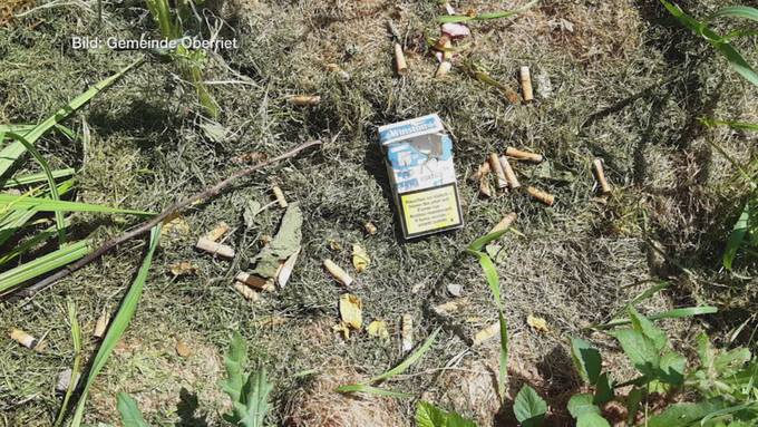Güsel im Wald: Abfallsünder verschmutzen Naturschutzgebiet in Oberriet