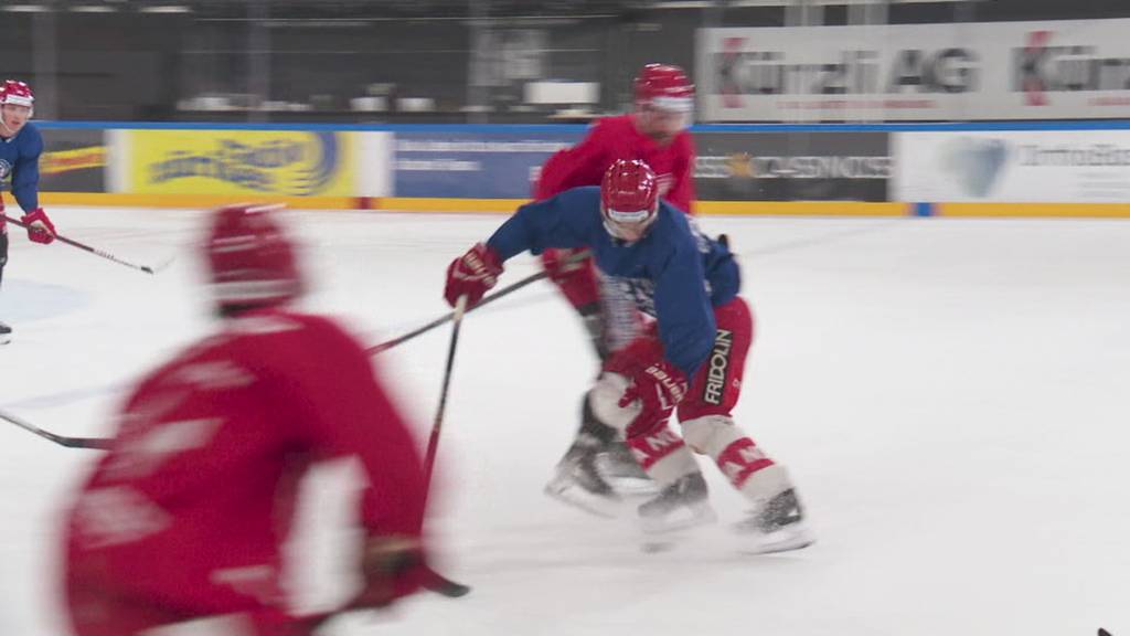 Rapperswil-Jona Lakers sind zum ersten Mal in der Champions Hockey League