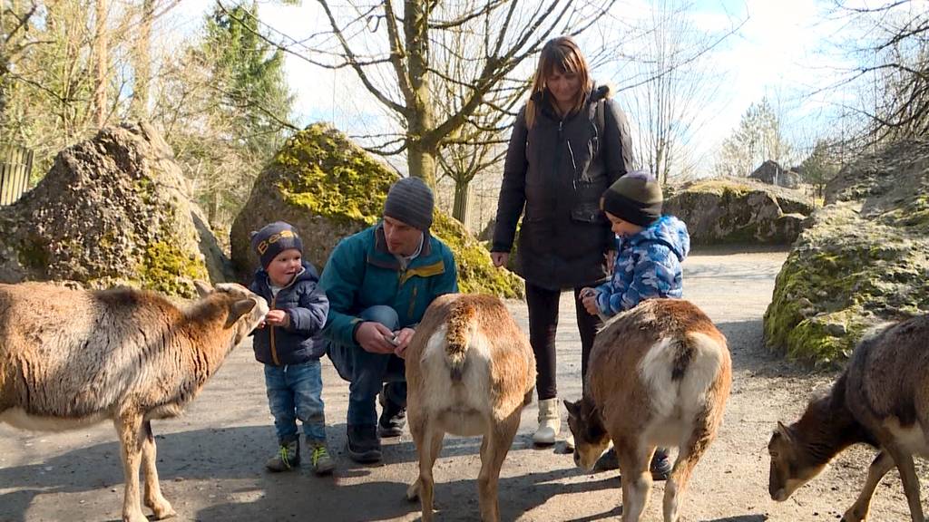 Familie im Schnee: Ausflug in den Tierpark