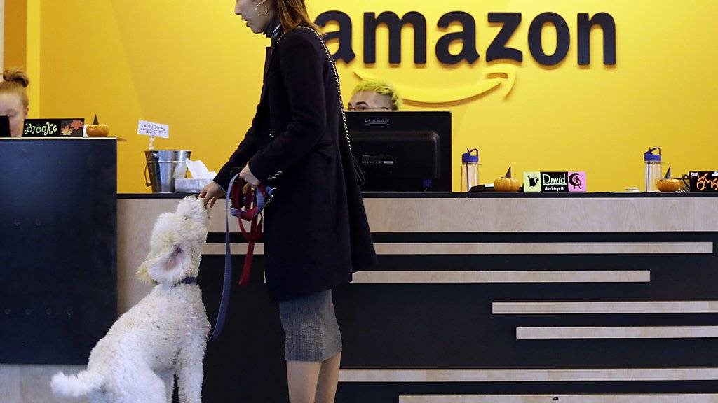 Mit milliardenschweren Steuererleichterungen buhlen nordamerikanische Städte um den Onlinehandels-Riesen Amazon, der einen Standort für seinen zweiten Hauptsitz sucht.