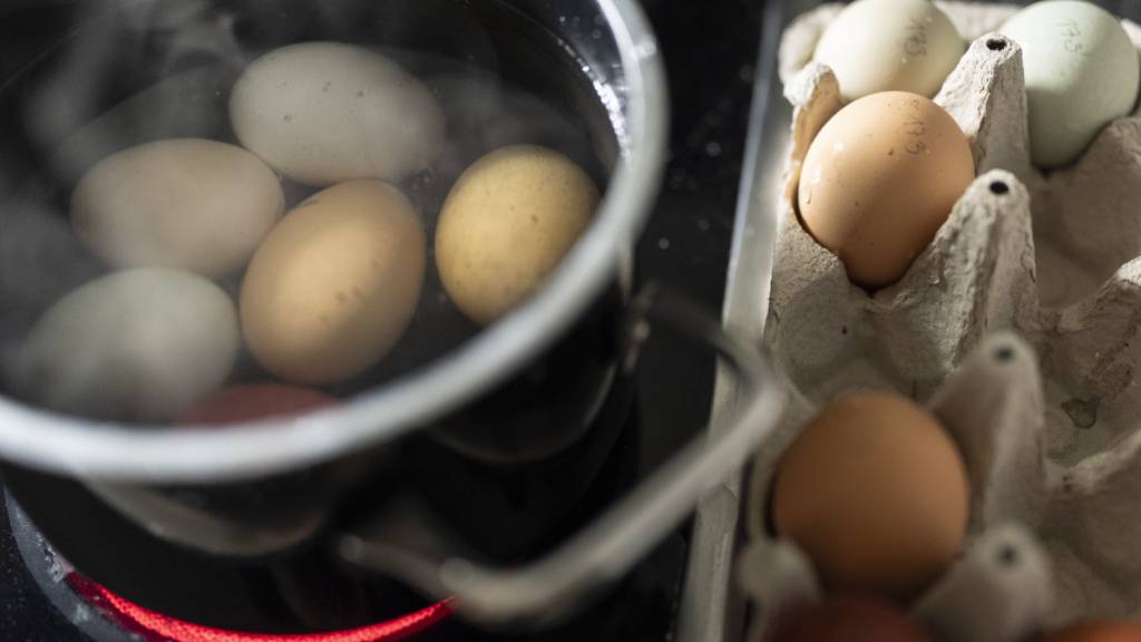 Ein Ei hartkochen ist einfach? Offenbar nicht, wenn man ein perfekt gekochtes Ei will. (Symbolbild)
