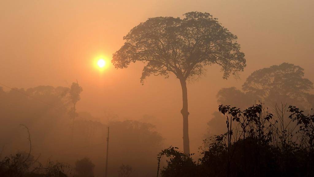 Rauch verhüllt den Blick auf den brennenden Regenwald in Brasilien. Seit der Amtsübernahme des brasilianischen Präsidenten Jair Bosoonaro hat die Zerstörung der riesigen Wälder Brasiliens nach offiziellen Angaben jährlich um 75 Prozent  im Vergleich zum vorherigen Jahrzehnt  zugenommen.