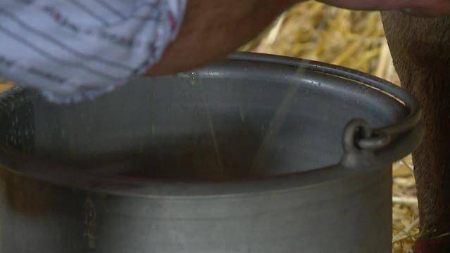 Was läuft in der Landwirtschaft falsch?