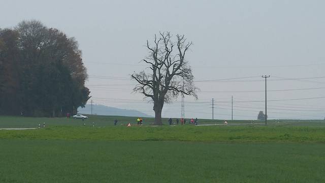 180-Jährige Linde aus Tegerfeld muss gefällt werden