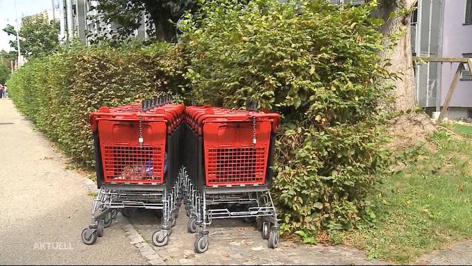 Busse für Einkaufswägeli-«Diebstahl»