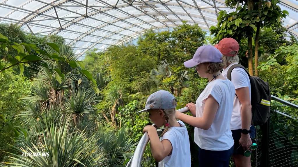 Für Menschen mit Autismus: Zoo Zürich gestaltet Spezialbesuch