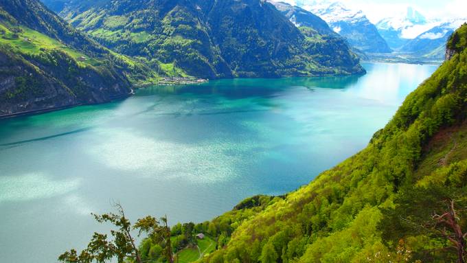 Unterwegs auf dem Vierwaldstättersee