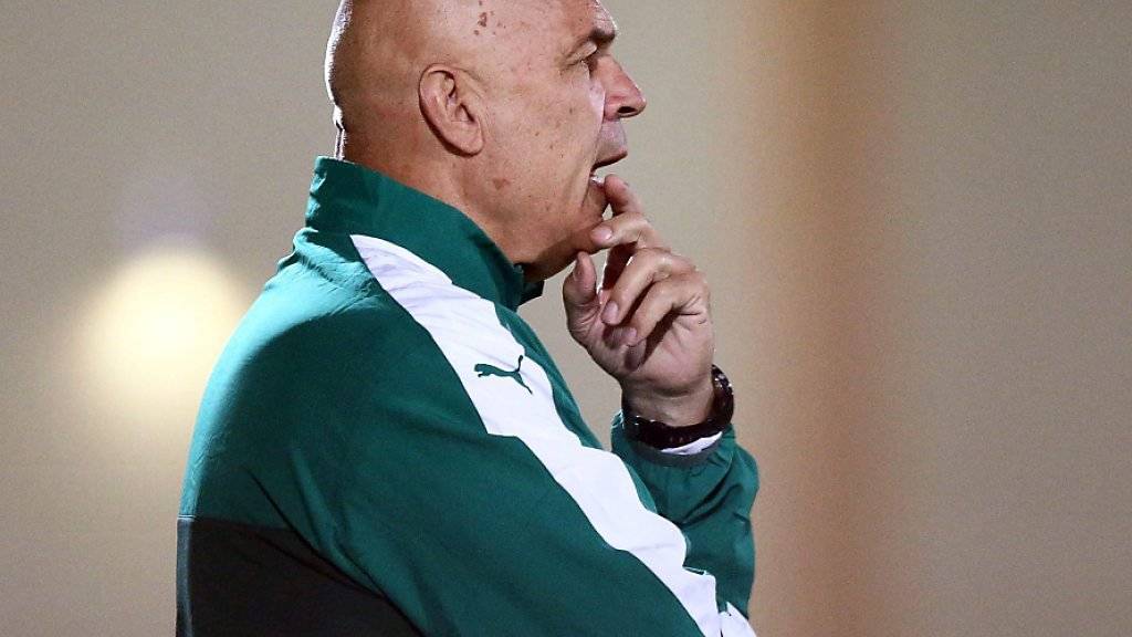 Soll Zamalek Kairo zurück in die Erfolgsspur führen: der Zürcher Trainer Christian Gross