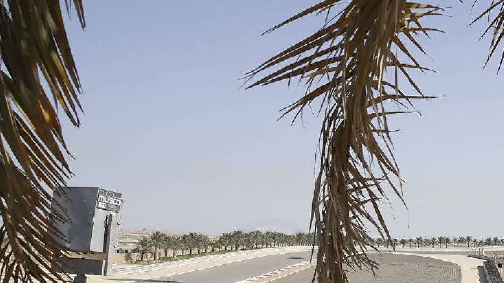 Am Sonntag findet in der Wüste am Persischen Golf zum 15. Mal ein Formel-1-GP statt