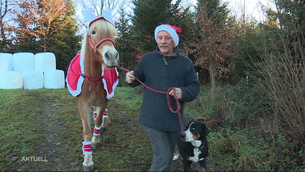 Wie feiert man mit Haustieren Weihnachten?