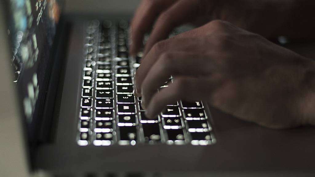 Bei der fortschreitenden Digitalisierung wünschen sich Liechtensteinerinnen und Liechtensteiner in erster Linie Anstrengungen für die Cybersicherheit und eine aktive Bekämpfung von digitaler Gewalt im Internet. (Symbolbild)