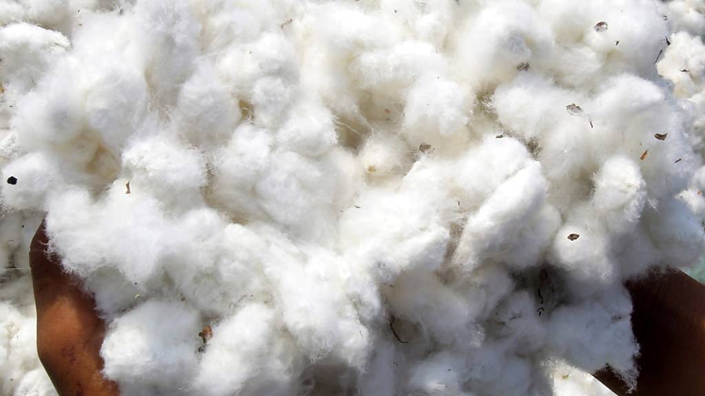 In der ehemaligen Spinnerei Neuthal wurde Rohbaumwolle zu Baumwollgarn verarbeitet. Zurzeit stellen Freiwillige den Museumsbetrieb sicher, nun soll ein Museum zur Technik-, Wirtschafts- und Sozialgeschichte entstehen. (Symbolbild)