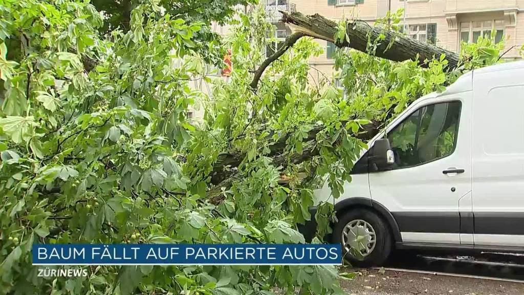 Wegen Gewitter: Baum blockiert Talstrasse