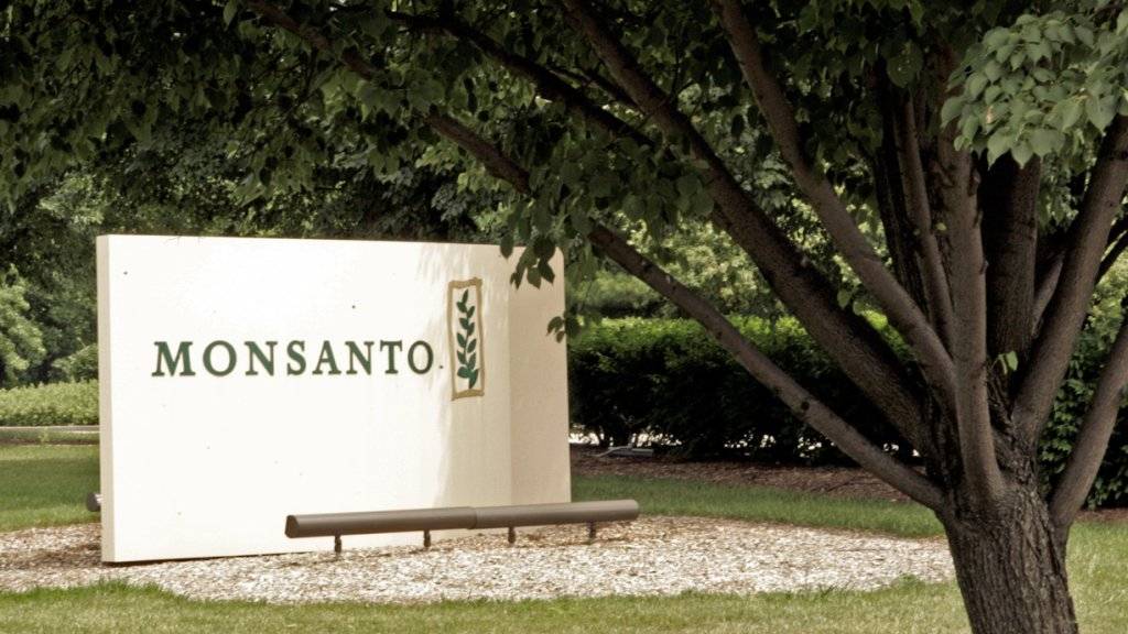 In den USA ist die Firma Monsanto zu einer Schadensersatzzahlung in Millionenhöhe verurteilt worden. (Archivbild)