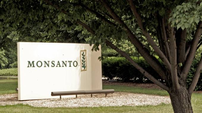 Millionenstrafe gegen Monsanto