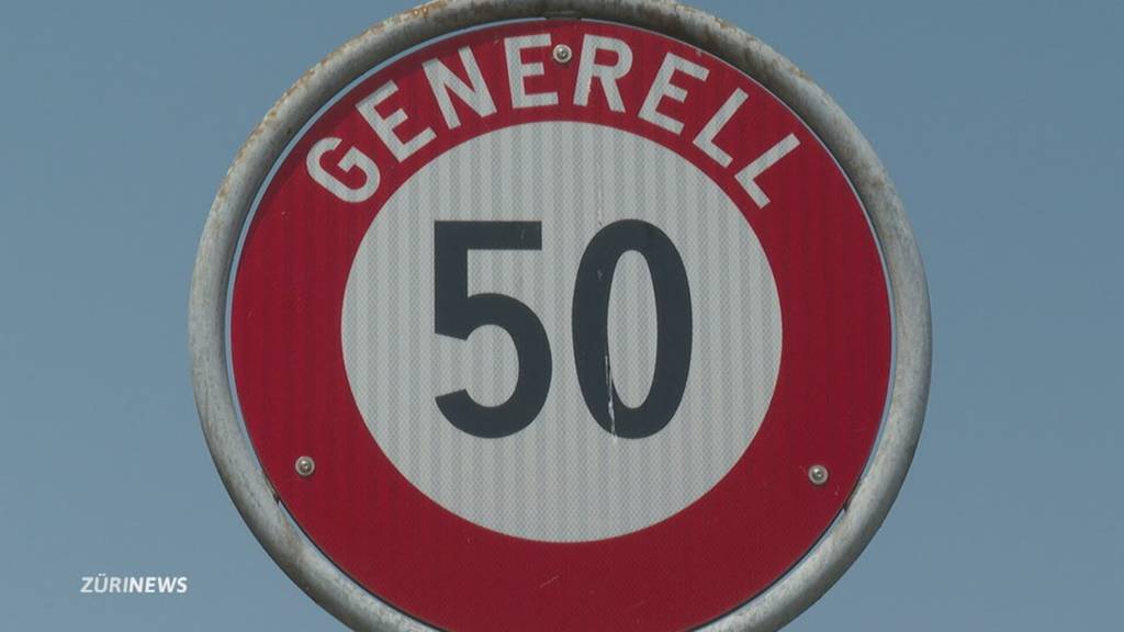 Horgen wehrt sich gegen Tempo 30 auf der Seestrasse