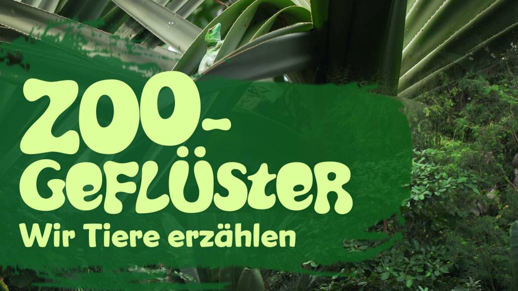 Zoogeflüster – Wir Tiere erzählen