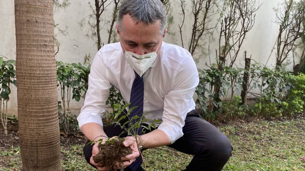 Aussenminister Ignazio Cassis pflanzt in Mali einen Baum in Erinnerung an die von Islamisten verschleppte und getötete Missionarin aus Basel.