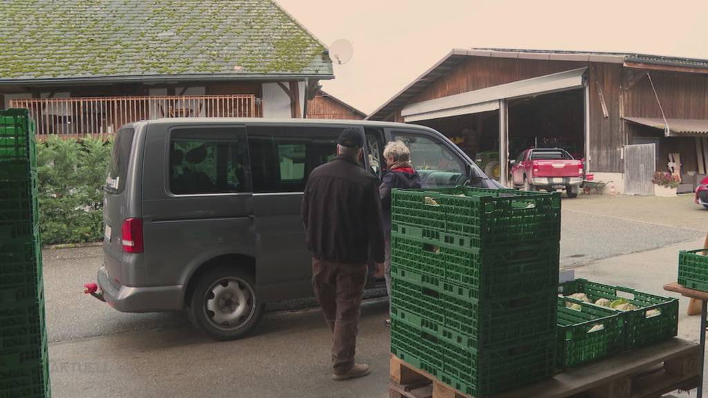 Kein Foodwaste: Eine Bauernfamilie will ihren Blumenkohl vor dem Abfall bewahren